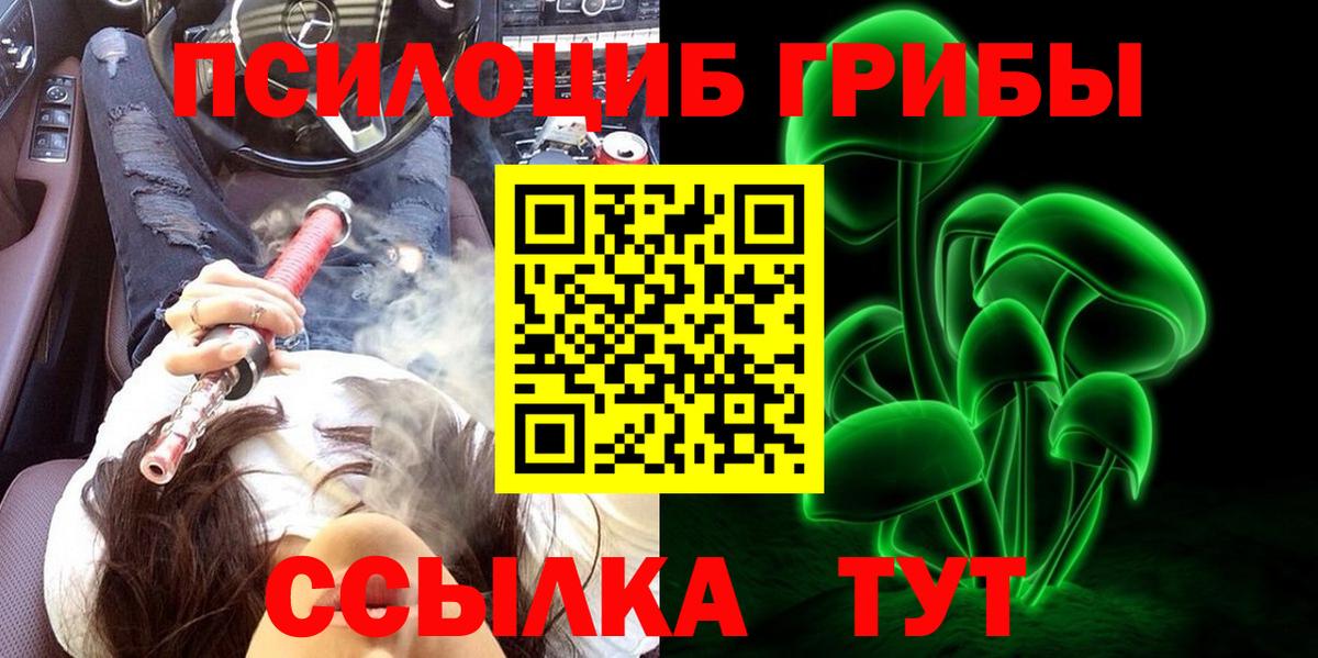 Псилоцибиновые грибы прущие грибы Урус-Мартан